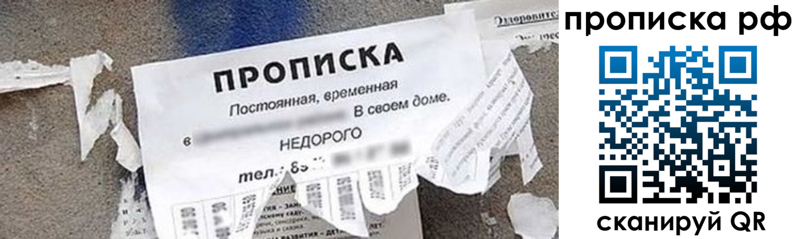где прописаться в Павлово